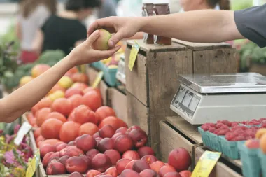 Namirnice koje bi uvijek trebala imati u kuhinji, želiš li izgubiti kilograme