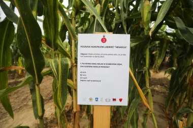 Kukuruzni labirint kod Ivanić Grada sjajna je ideja za jesenski izlet