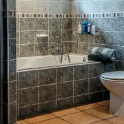 koja su najbolja prirodna sredstva za čišćenje kupaonice?