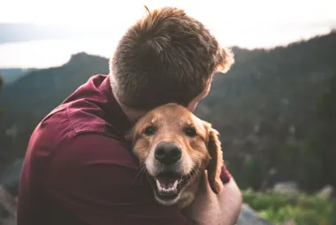 Kad ljubimci spase život: Inspirativne priče o četveronožnim herojima