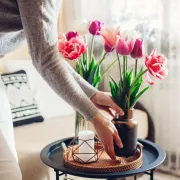 Novi detalji iz Home kolekcija poznatih brendova uz koje će svaki dom zasjati