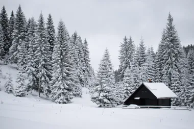 Kranjska gora, Krvavec, Planica i Pokljuka - omiljene zimske destinacije sve popularnije i u ljetnim mjesecima