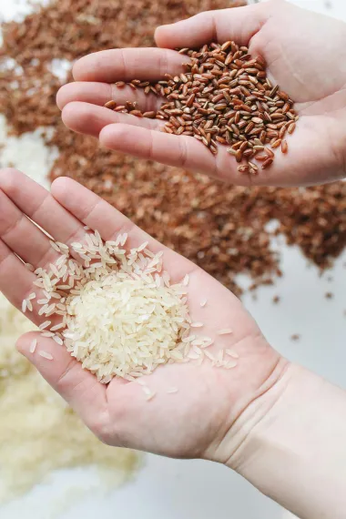 Bez konzumiranja mesa: Jednostavni načini kako povećati unos proteina