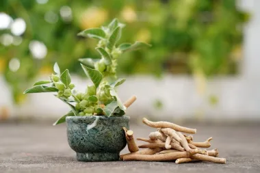 Ashwagandha - snažna biljka koja pomaže kod stresa, nesanice i slabog libida