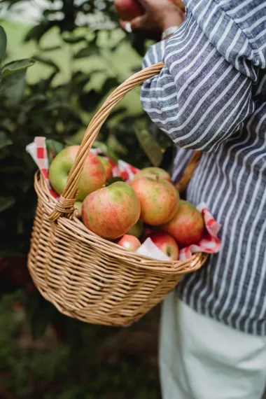 Namirnice s najmanje kalorija uz koje se lako gube kilogrami