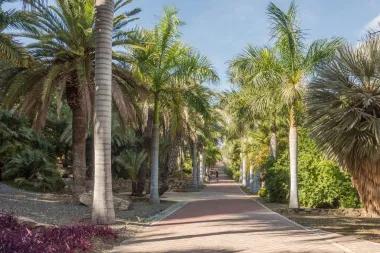 Malaga je španjolski dragulj, grad tapasa i beskrajnih plaža