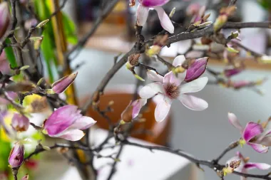 Floristica Krunoslava Ivanković otkrila je kako dekorirati najljepši uskrsni stol
