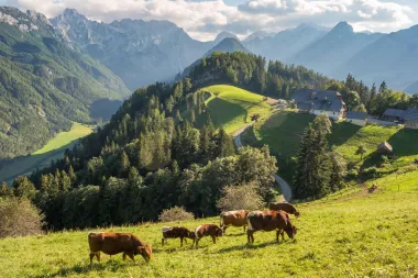 Logarska dolina u proljeće: Spokoj, šetnje i zelenilo koje liječi