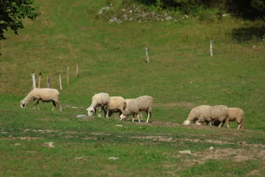 'Farma' je spremna - krećemo!