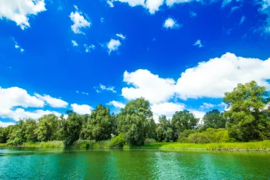 U srcu Baranje: Otkrij netaknutu ljepotu Kopačkog rita