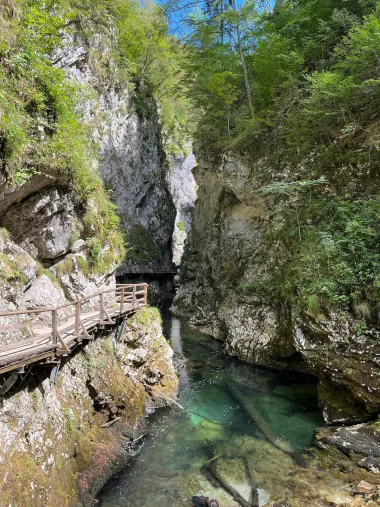 Slikovita Slovenija: Otkrij čudesne krajolike Bleda i Bohinja