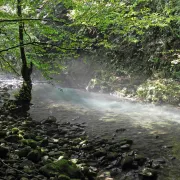 Zeleni vir i Vražji prolaz: Vodič za nezaboravan izlet u srce Gorskog kotara